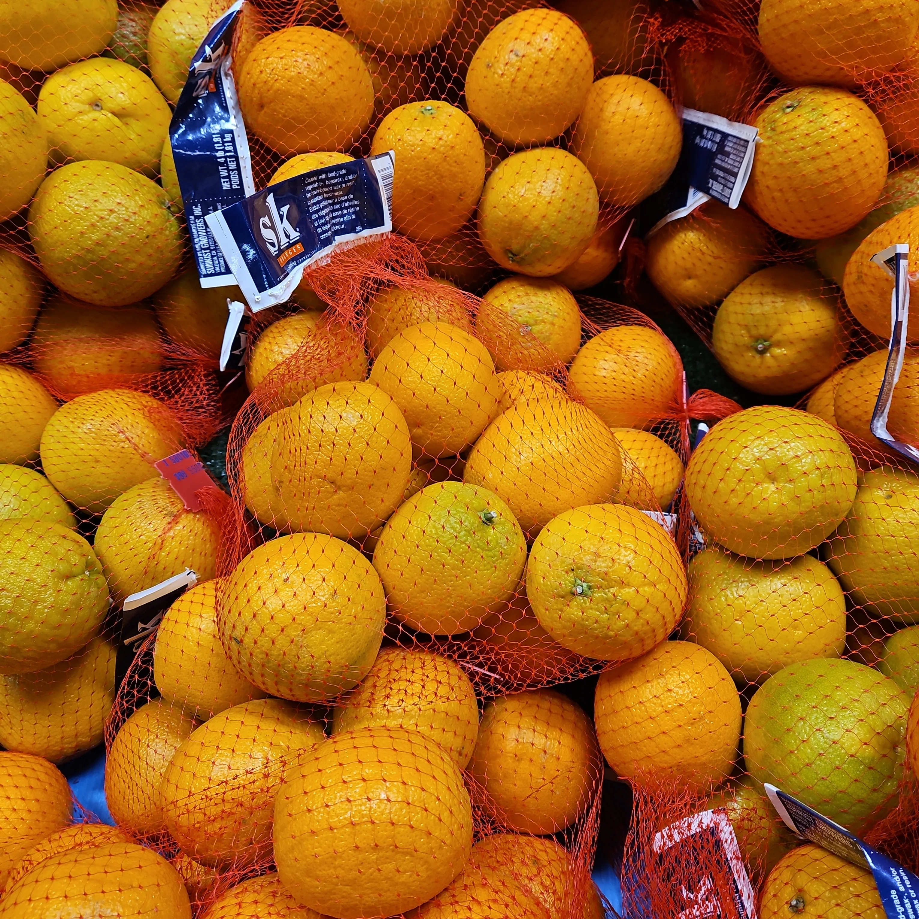 Navel Orange 4lb/bag, 네이블 오렌지 4lb/bag - Image 3