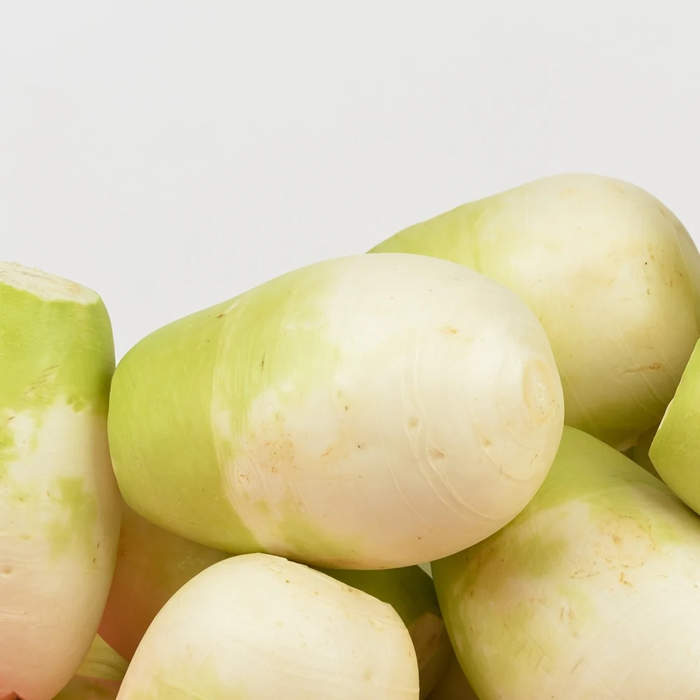 Korean Radish lb, 한국 무 lb - Image 2