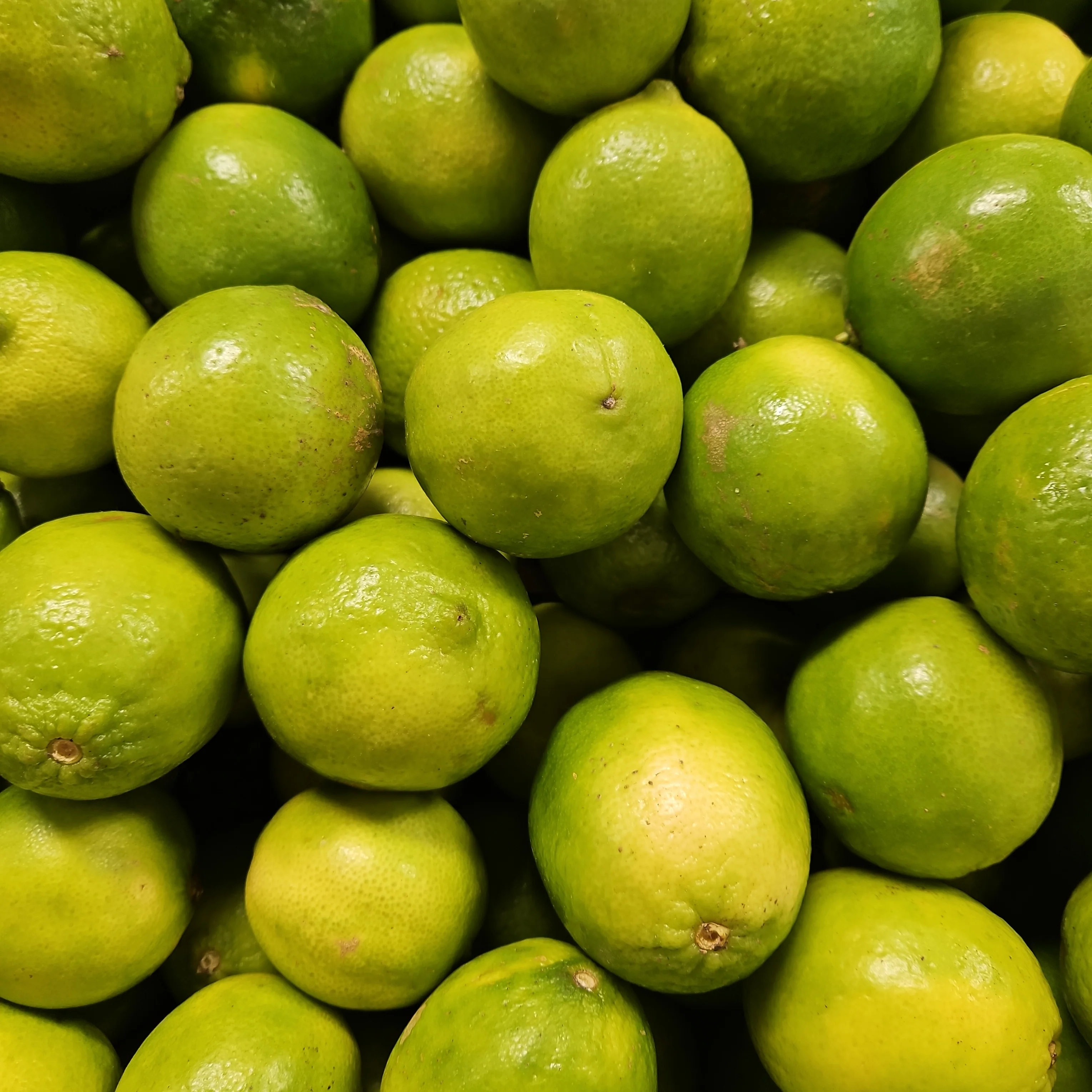 LIME ea, 라임 ea - Image 2