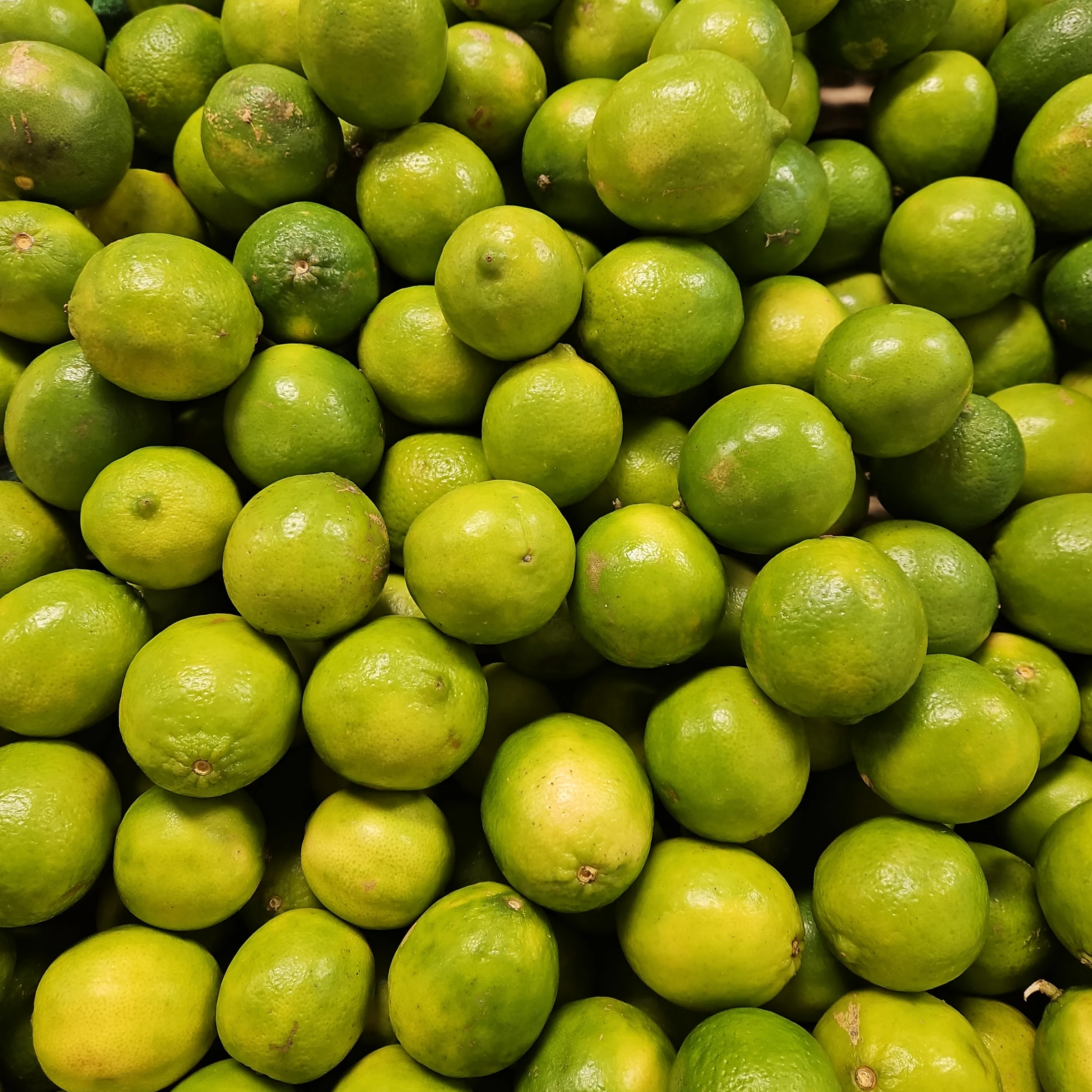 LIME ea, 라임 ea - Image 3
