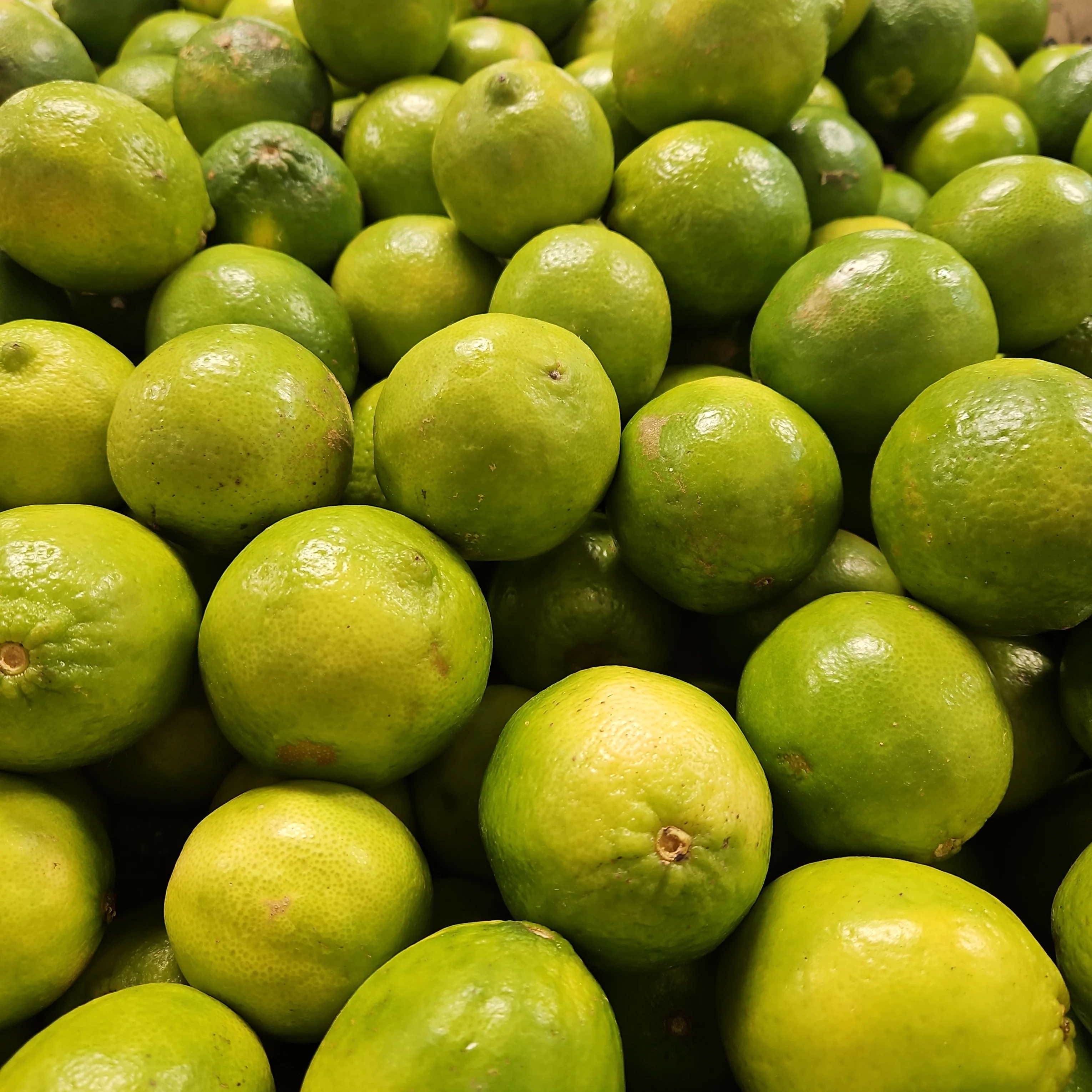LIME ea, 라임 ea - Image 4