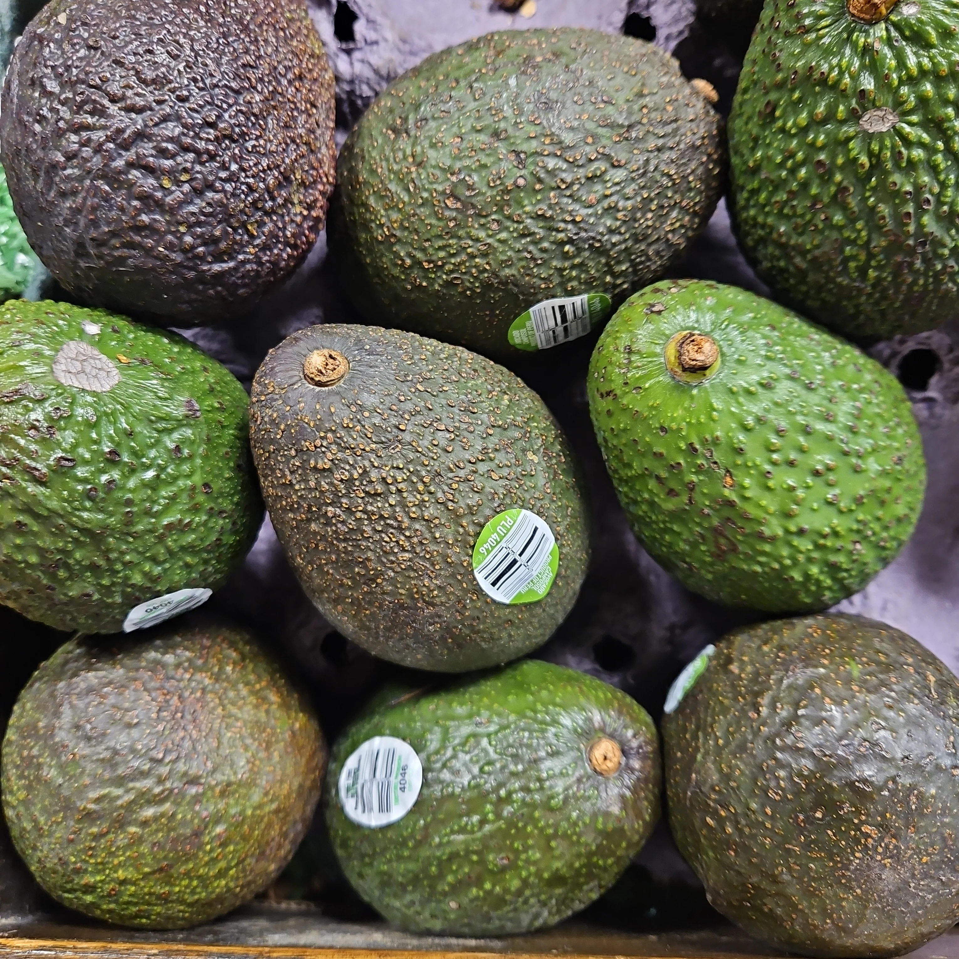 Avocado 1ea, 아보카도 1ea - Image 7
