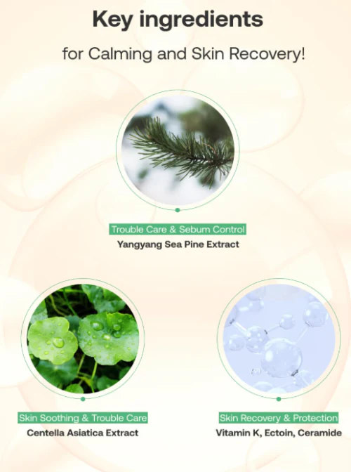 FILFLO Quick calming spot patcH,[필플로] 퀵 카밍 스팟 패치 - Image 4