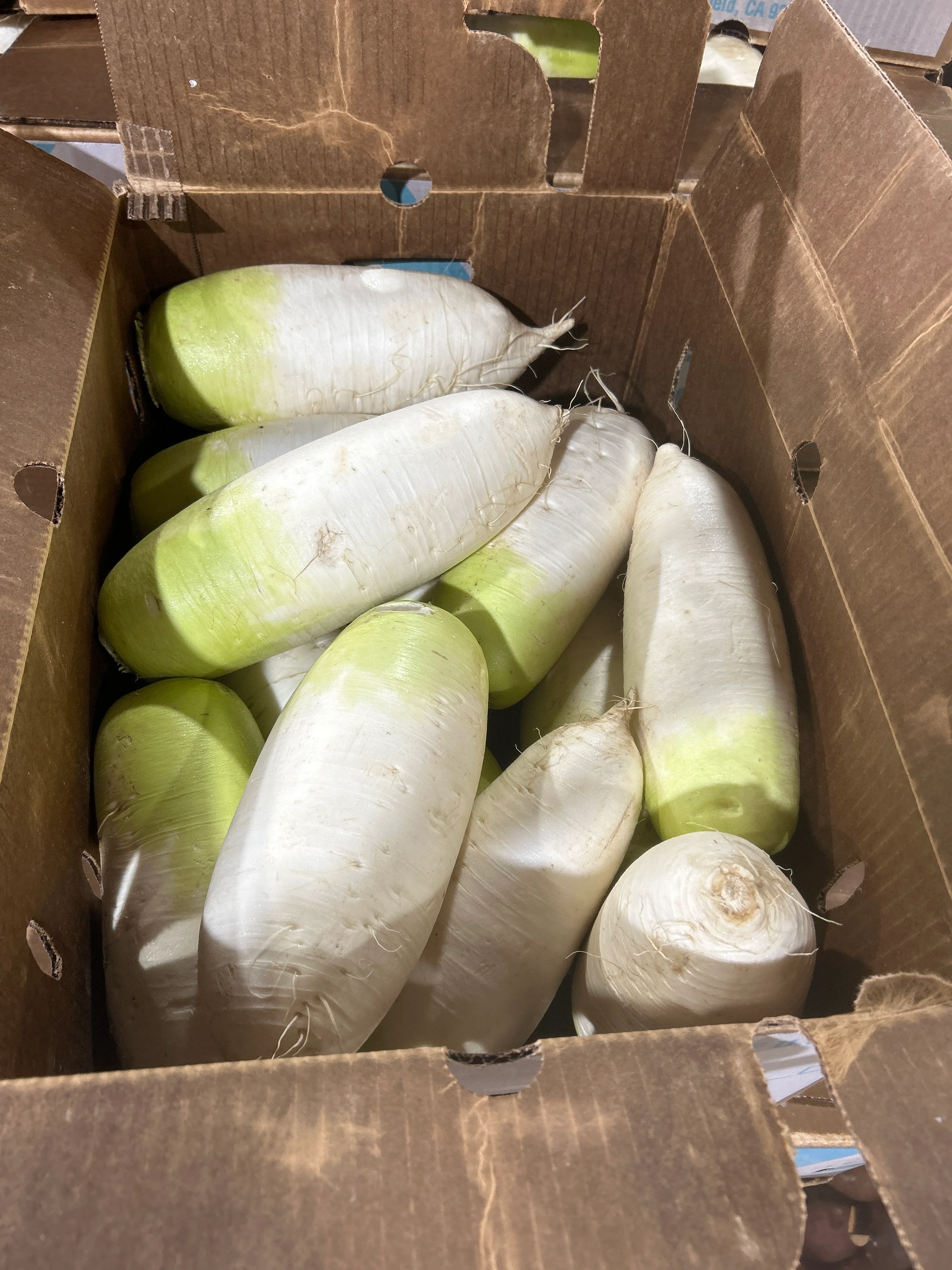 KOREAN RADISH BOX , 한국 무 BOX