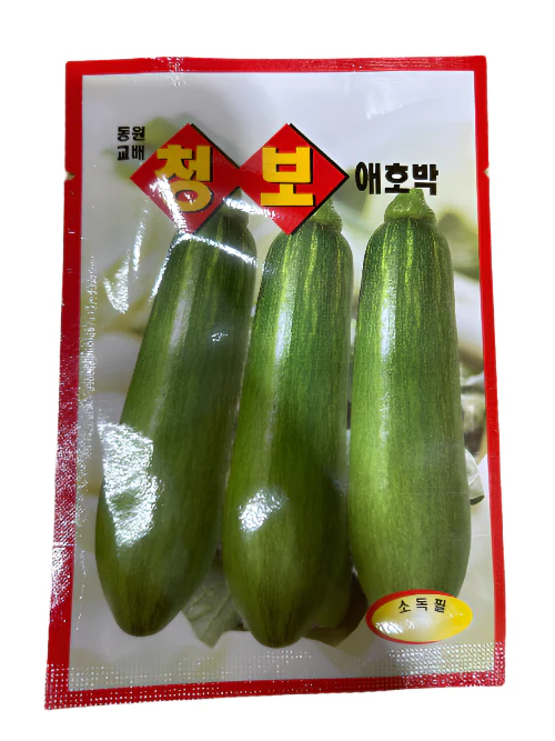 Seed Korean zucchini 1 pack , 씨앗 애호박  1 팩