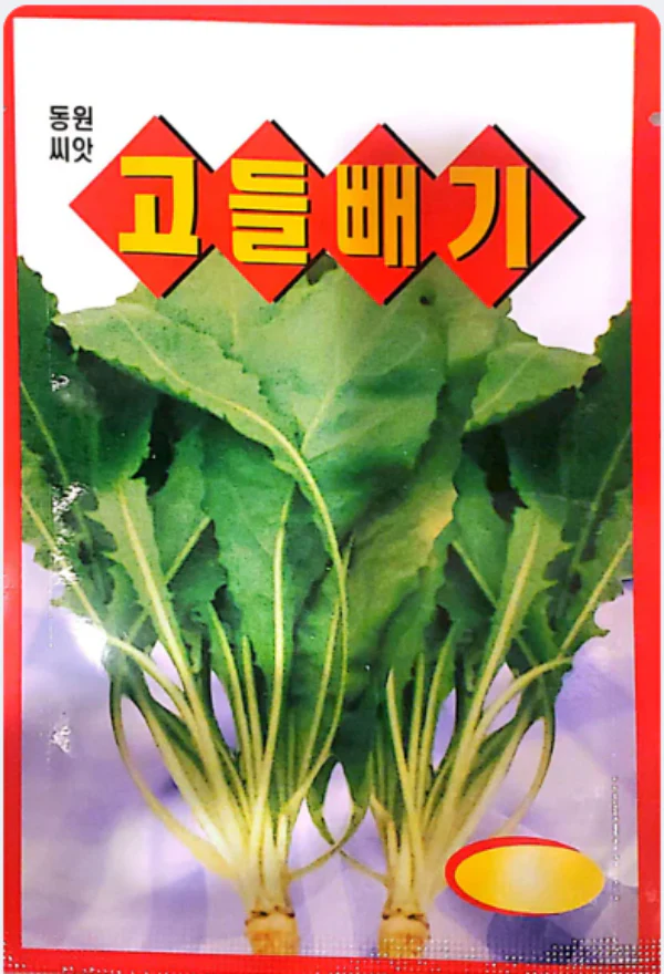 Seed Korean  1pk, 봄동배추 1팩